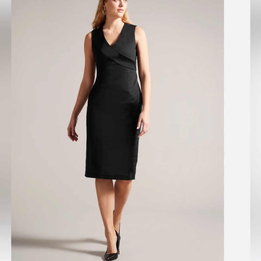 NWT Ted Baker Salyan Midi Dress
